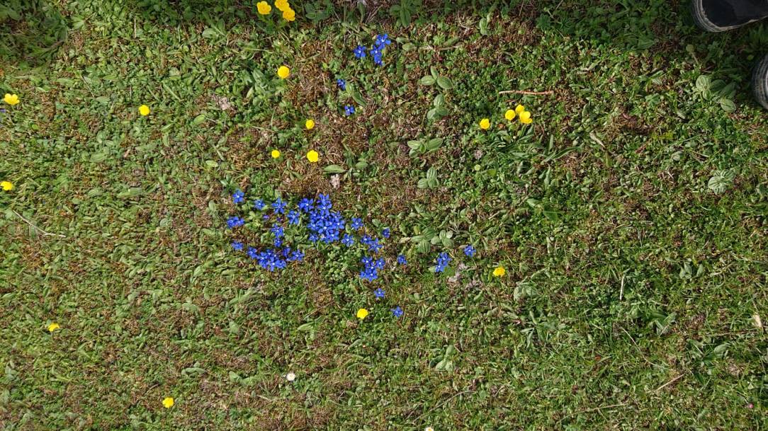 619a425b-9a58-4849-a787-08200d579f69